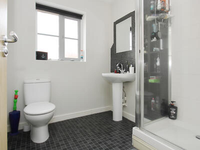 Picture 9